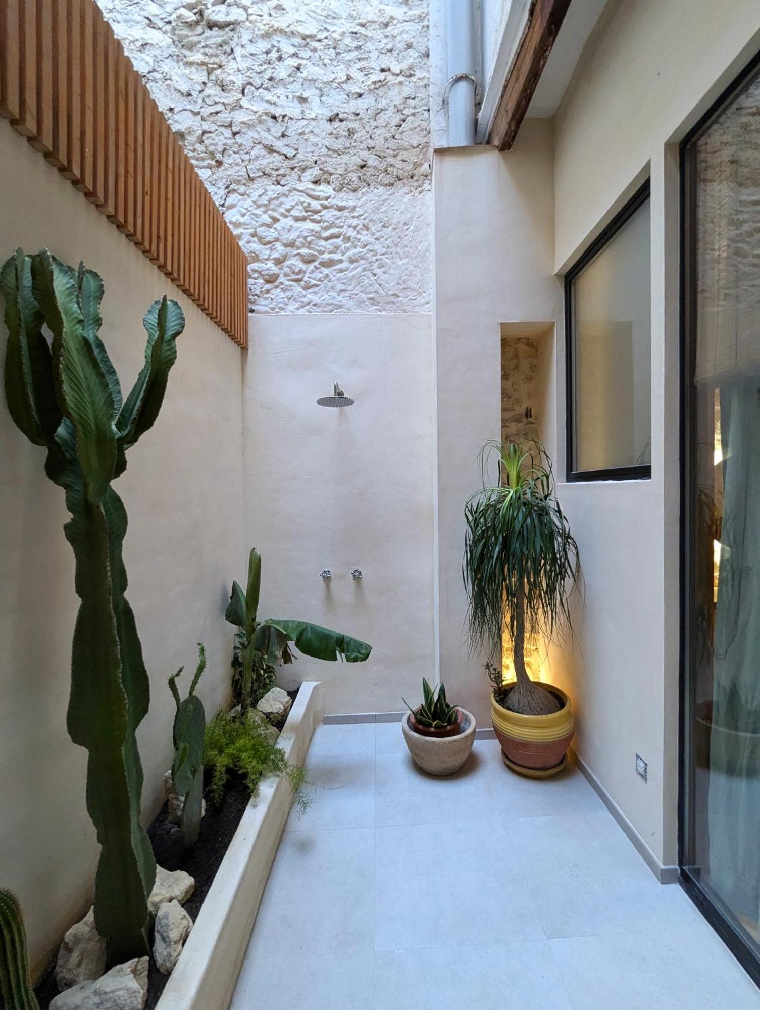 Oasis Alacant